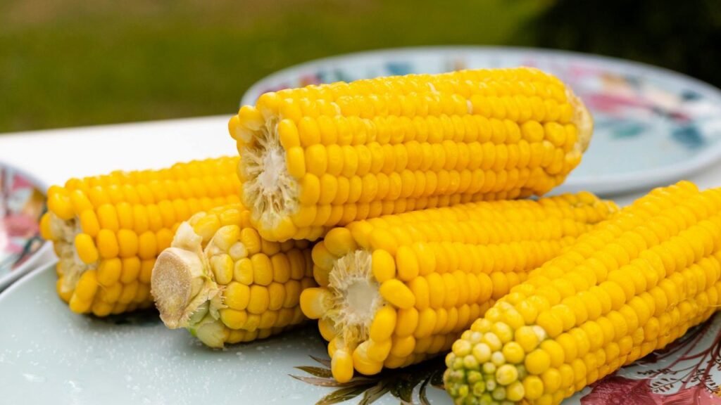 can you bring sweet corn on a plane